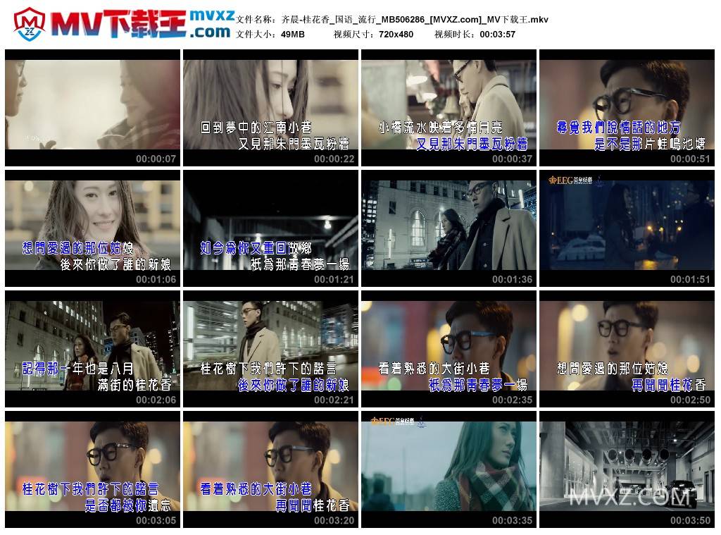 齐晨-桂花香_国语_流行_MB506286